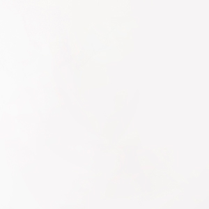 ����ȭ��Ʈ